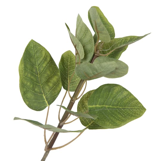 6ft. Potted Green Smoke Tree